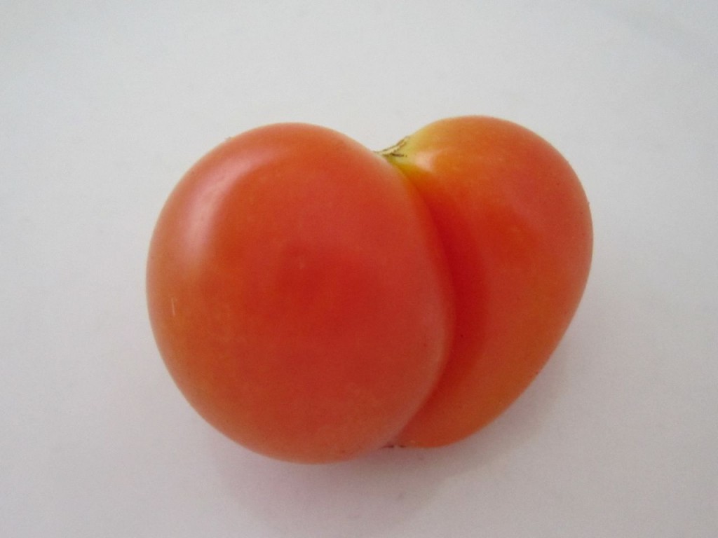 Heart tomato cindafuckingrella