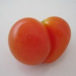 Heart tomato cindafuckingrella