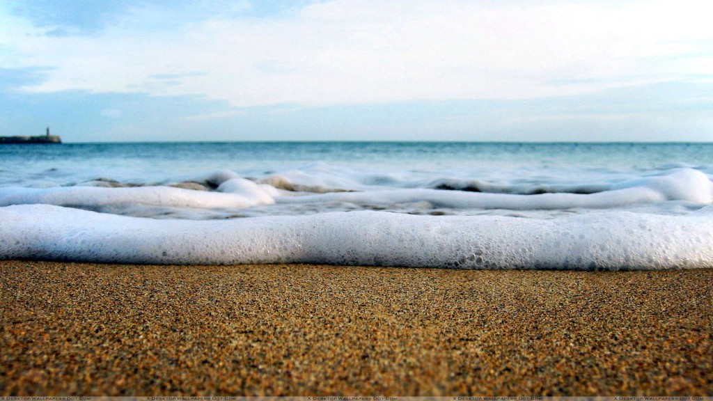 Foamy Ocean Wave