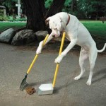 dog-doing-his-own-chores1-1